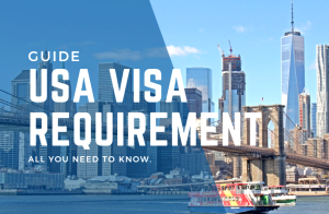 How to Apply for a USA Visa from Dubai in 2024: Step-by-Step Guide